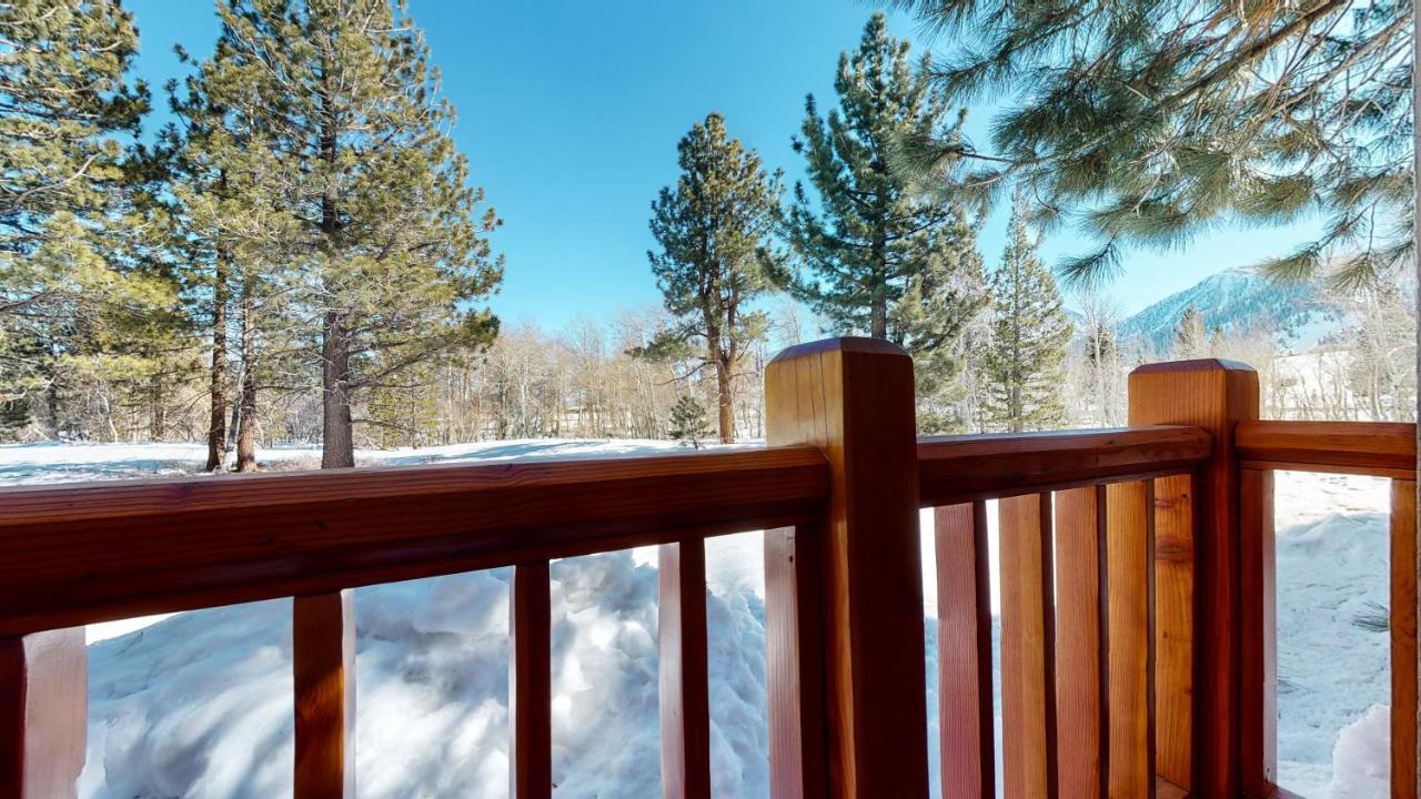 Mammoth Creek #9 * Mammoth Lakes